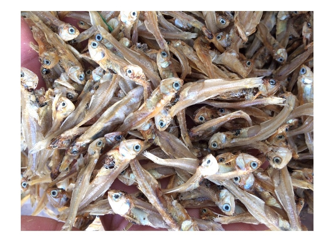 DRIED ANCHOVY FISH High QUALITY. Factory Professional Production Bulk Dried Anchovy, Dried Salted Anchovy From VietNam