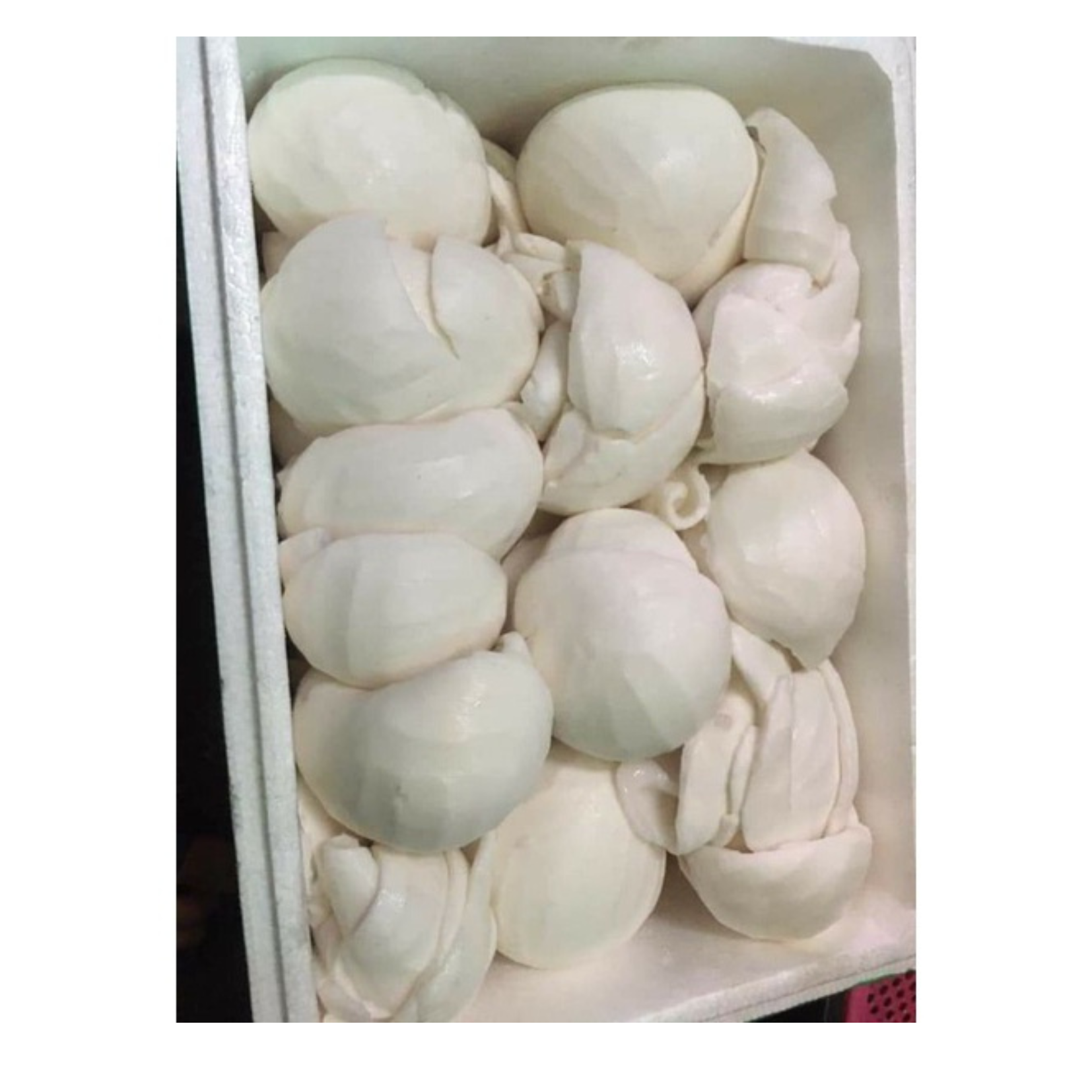 Frozen Coconut Young Tender Coconut Meat from Vietnam Peeled Coconut Meat Organic For Making Cream