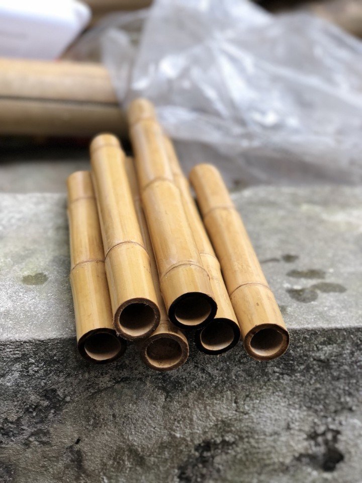 Eco-Friendly Raw Materials Wholesale Vietnam Bamboo Poles 100% Natural Bamboo pole/cane/stick/stake 2024 Bamboo Fence