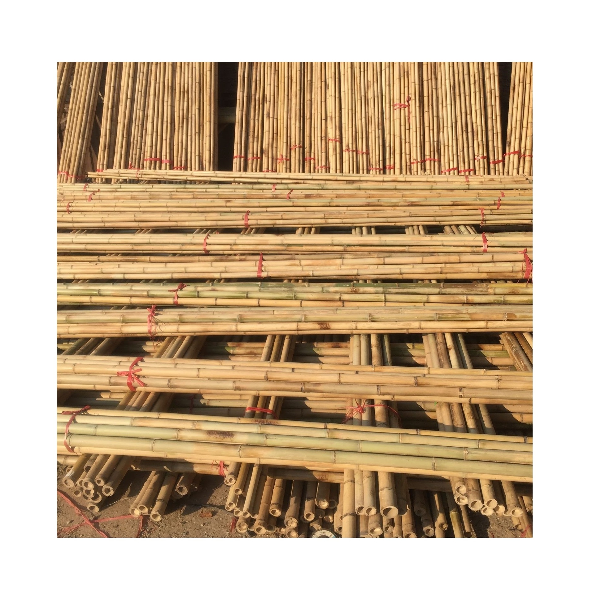 Eco-Friendly Raw Materials Bamboo Cane Bamboo Pole For Plant Made In Vietnam 99GD/ Bamboo Sticks Top Supplier 20 Year Experience