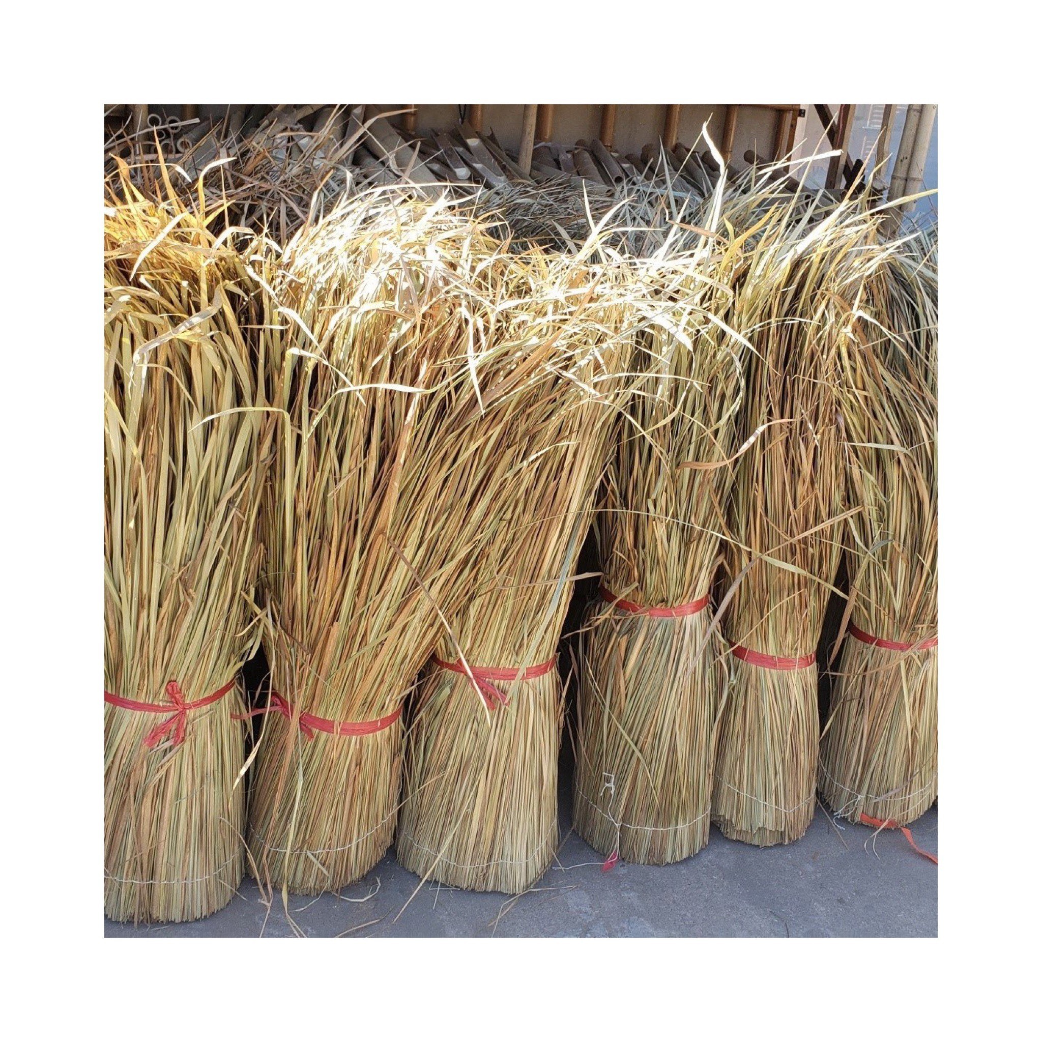 Palm thatch roofing dry grass rolls roof thatching materials for tiki hut roofs natural dried straw thatched rolls Elysia 99GD