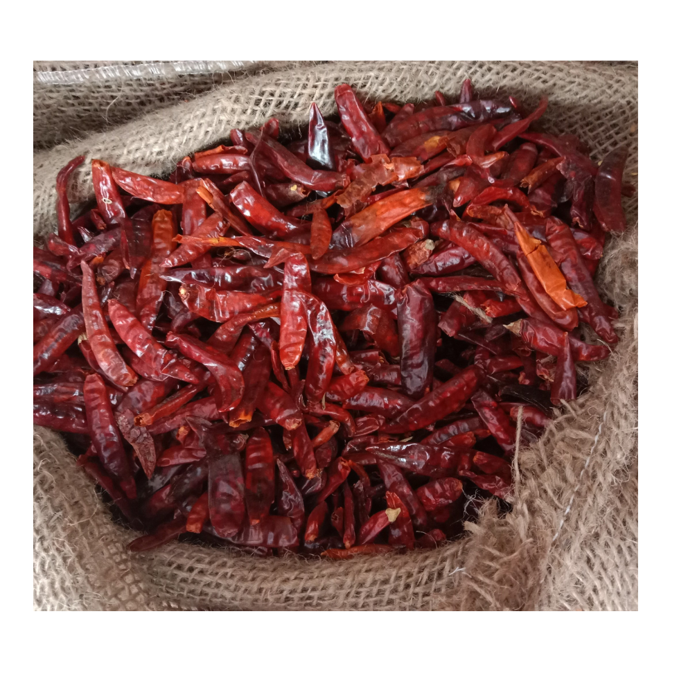 Top Products 100% Pure Dried Chili Best Natural Dried Red Chili Factory Price Top Quality Dried Red Chili From 99 Gold Data