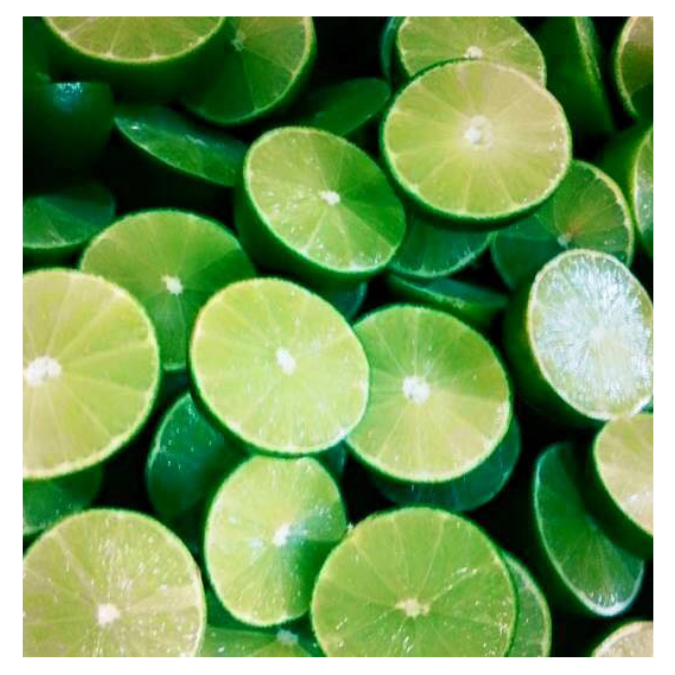 Fresh Lime/ Green Seedless Lemon With Premium Quality Best Price/ Vietnam Lemon Top Supplier Dried Lemon Sliced New Crop 2024