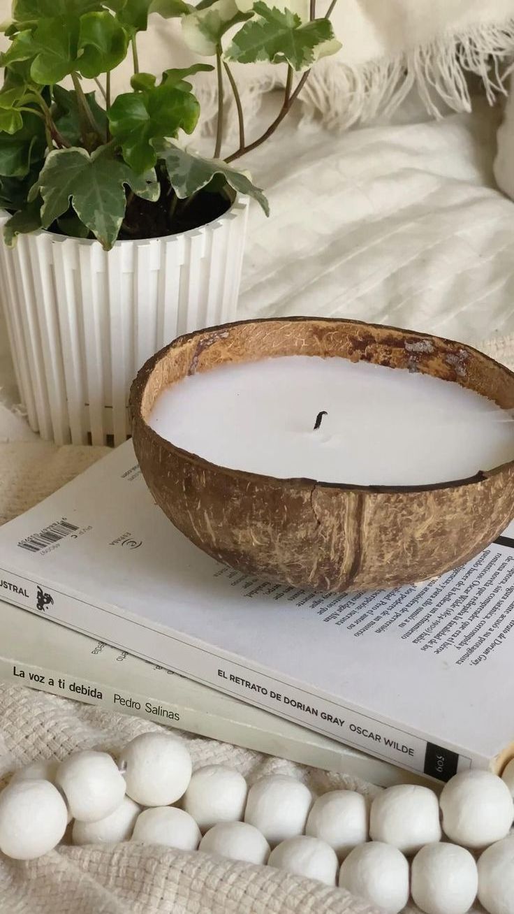 Top 2024 candle product Eco Friendly Clean Burning Soy Coconut Candle Handmade In Real Coconut Shell Bowl