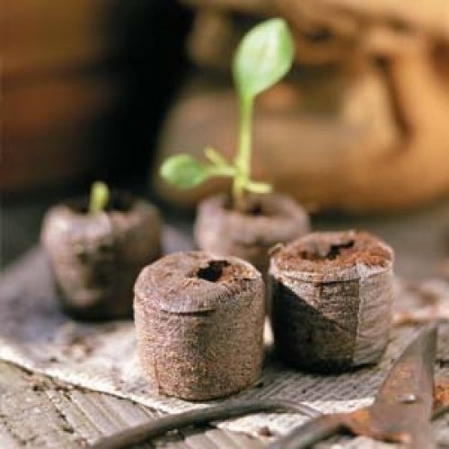 Coconut Coir pellet coconut plugs coco peat pellets coco peat seedling nursery discs for agricultural planting seed nursery