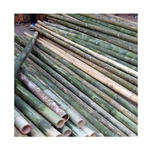 Wholesale Eco Friendly Round Handle Bamboo Stick Bamboo Strip For Bamboo Toothbrush Made in Vietnam 99 Gold Data