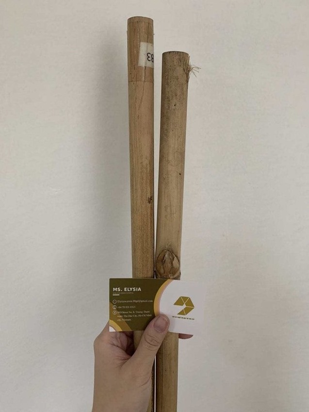 Eco-Friendly Raw Materials Bamboo Cane Bamboo Pole For Plant Made In Vietnam 99GD/ Bamboo Sticks Top Supplier 20 Year Experience