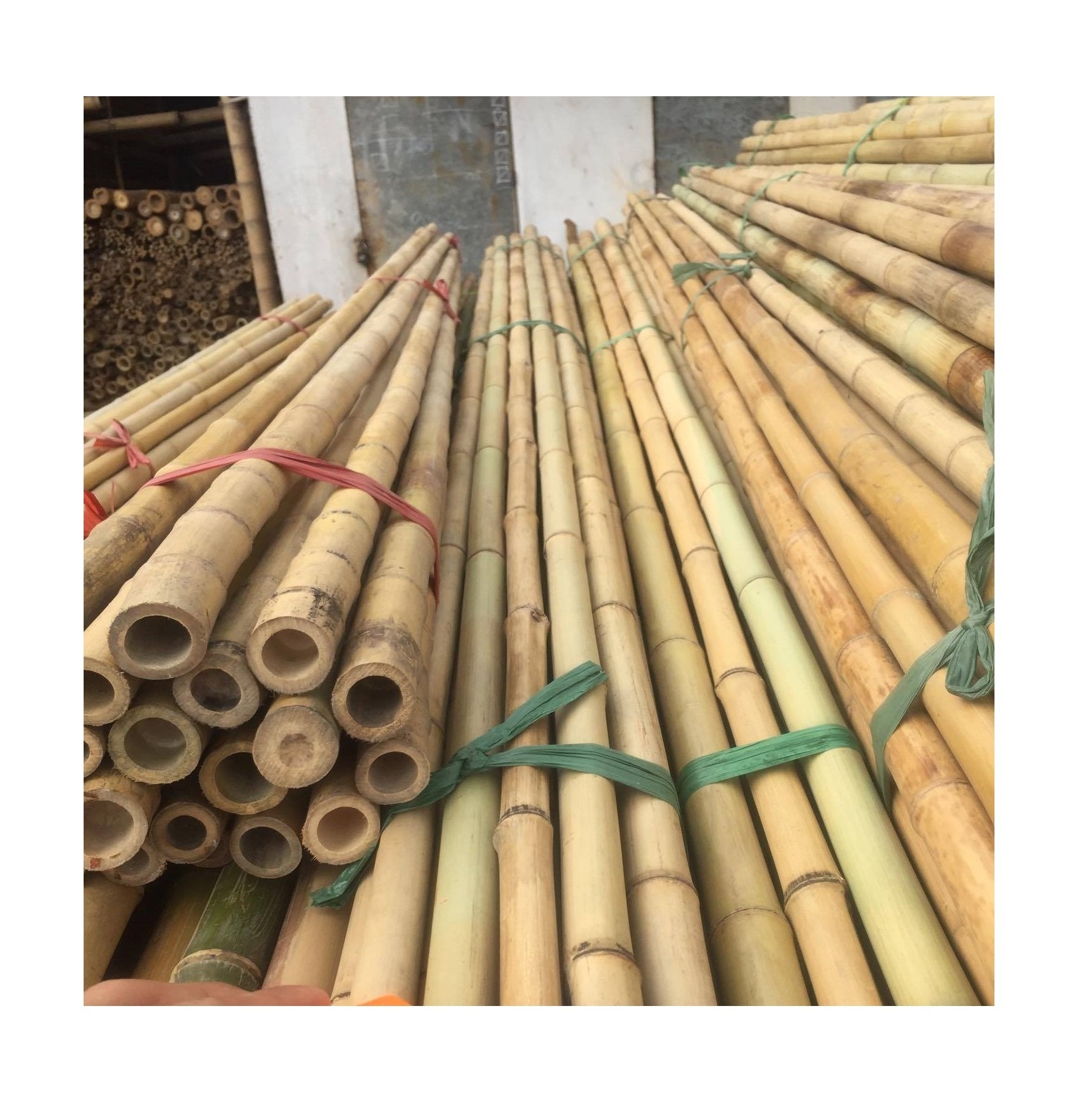 Eco-Friendly Raw Materials Bamboo Cane Bamboo Pole For Plant Made In Vietnam 99GD/ Bamboo Sticks Top Supplier 20 Year Experience