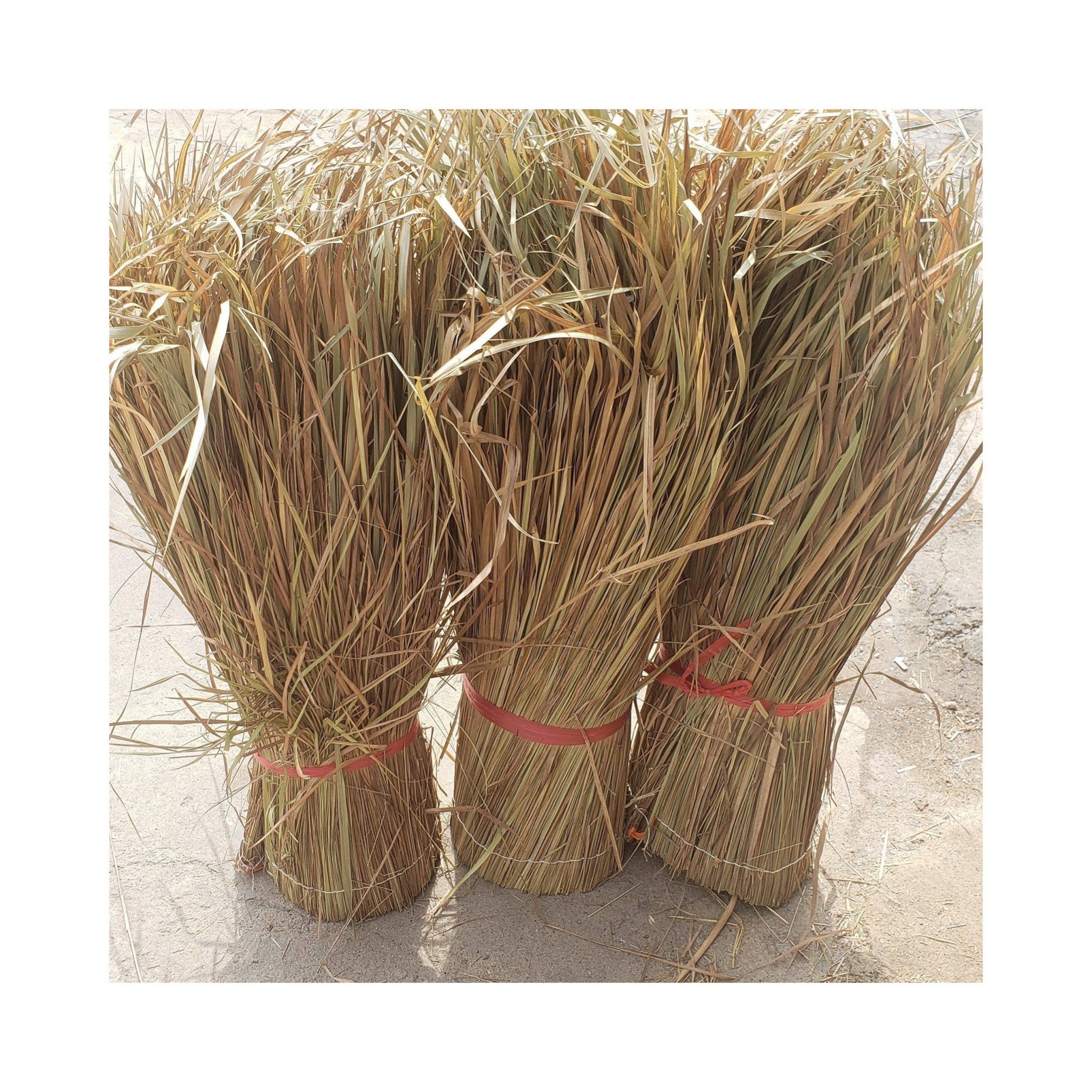 Best price building material from Vietnam-Outdoor durable grass thatch roof for tiki bar Elysia +84789310321