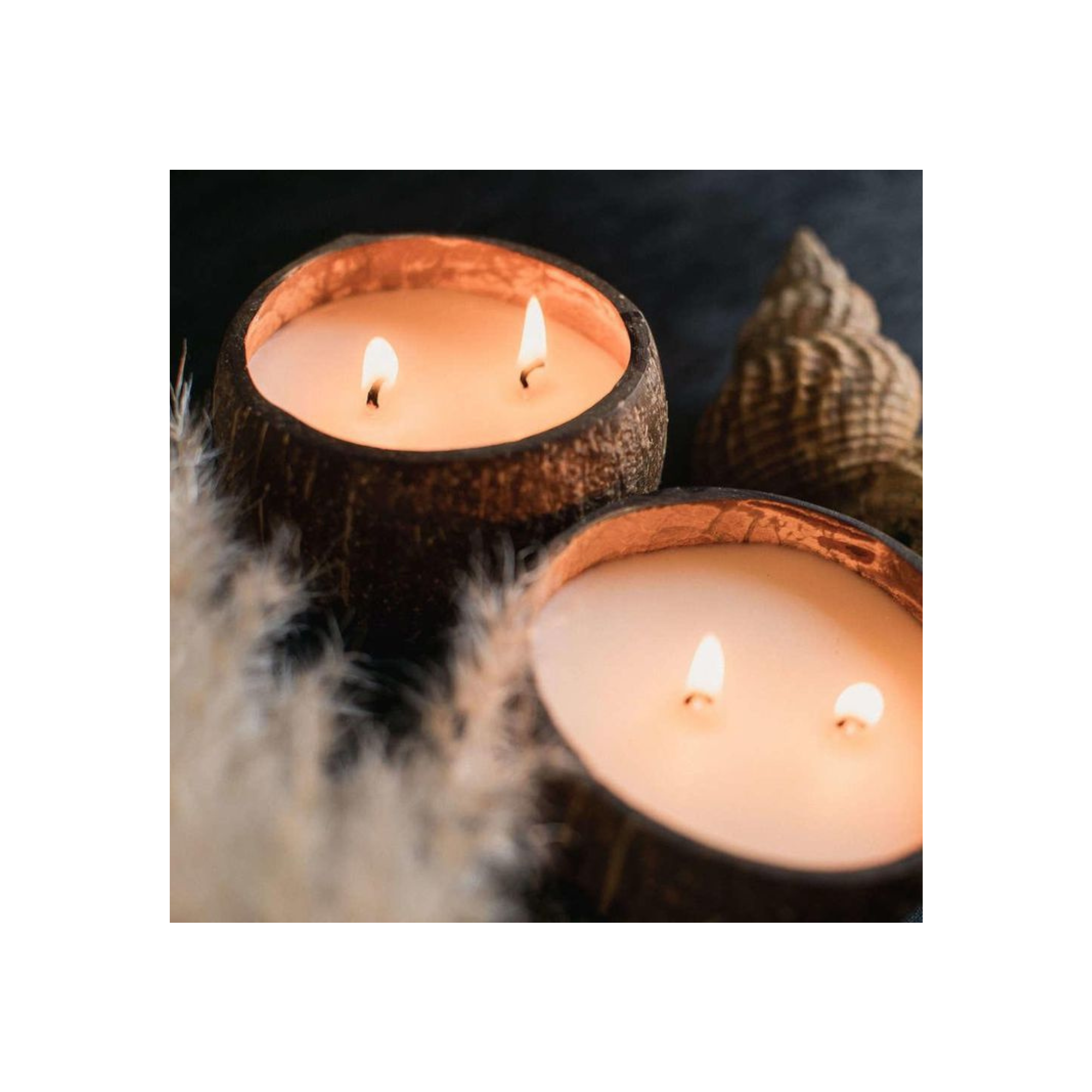 Top 2024 candle product Eco Friendly Clean Burning Soy Coconut Candle Handmade In Real Coconut Shell Bowl