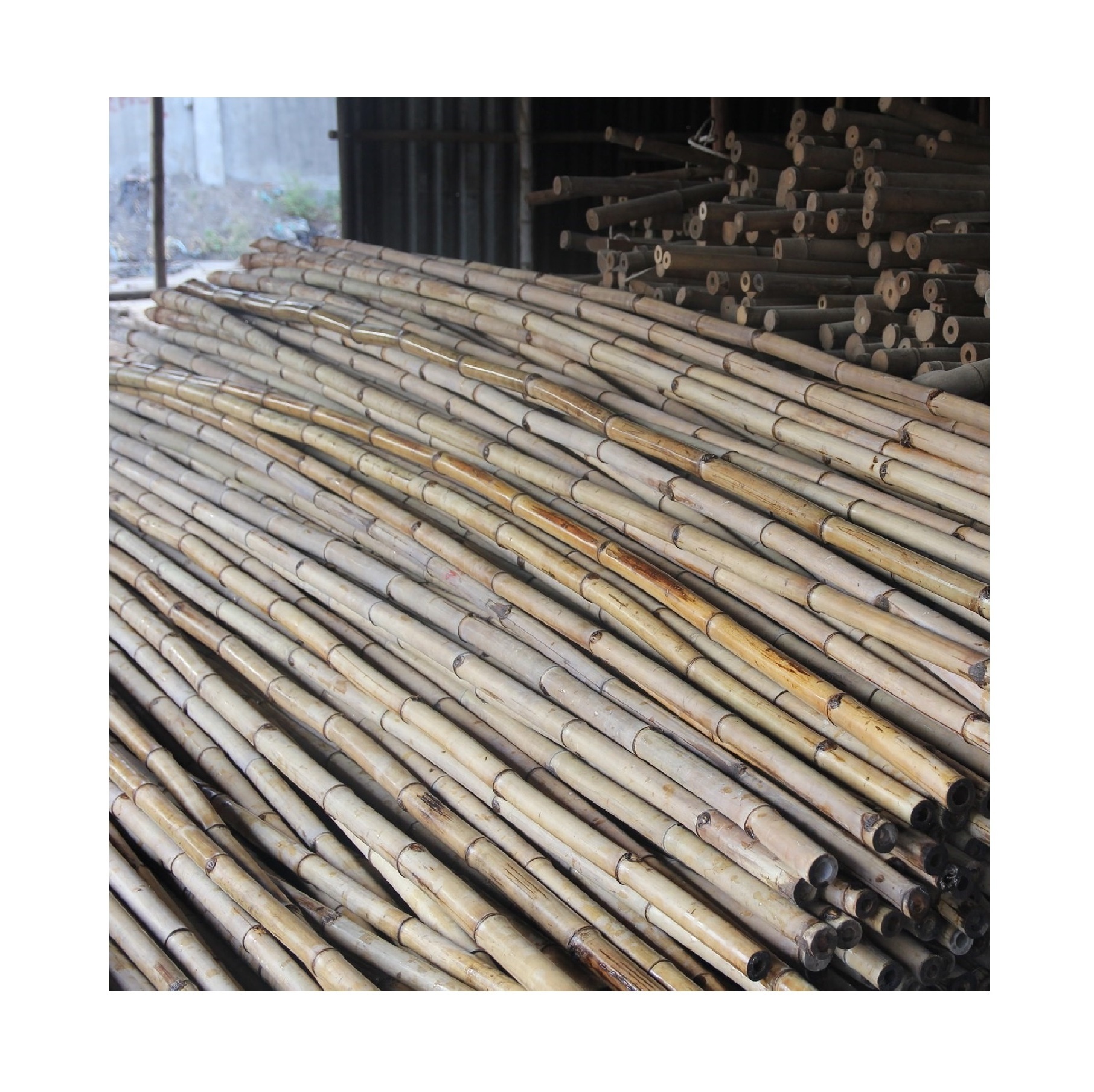 Eco-Friendly Raw Materials Bamboo Cane Bamboo Pole For Plant Made In Vietnam 99GD/ Bamboo Sticks Top Supplier 20 Year Experience