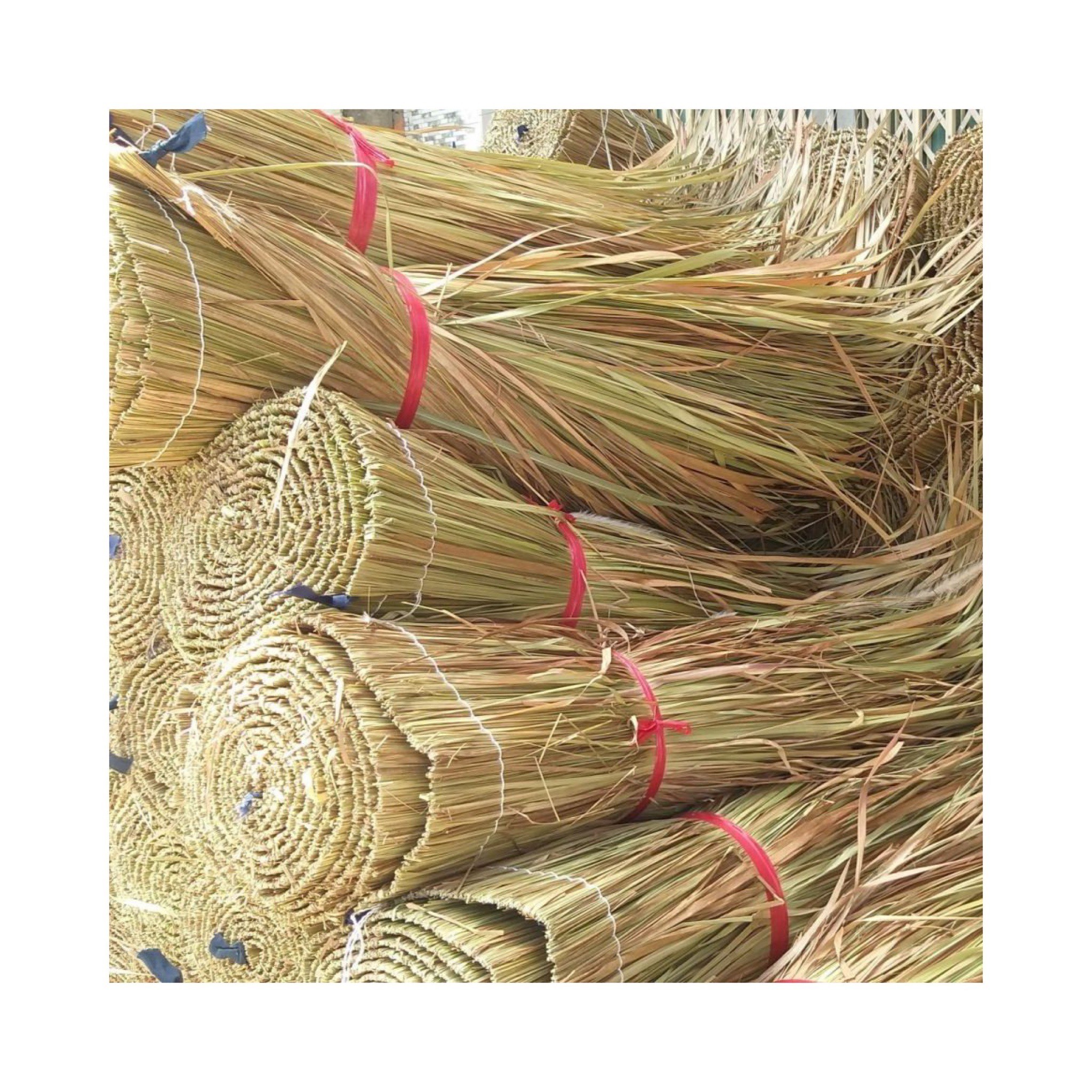 Palm thatch roofing dry grass rolls roof thatching materials for tiki hut roofs natural dried straw thatched rolls Elysia 99GD