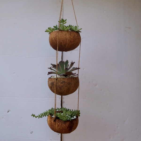 Wholesale Coconut Planters Coconut Shell Plant Hanger From Viet Nam Coconut Shell Pots