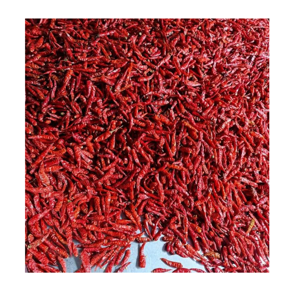 Top Products 100% Pure Dried Chili Best Natural Dried Red Chili Factory Price Top Quality Dried Red Chili From 99 Gold Data