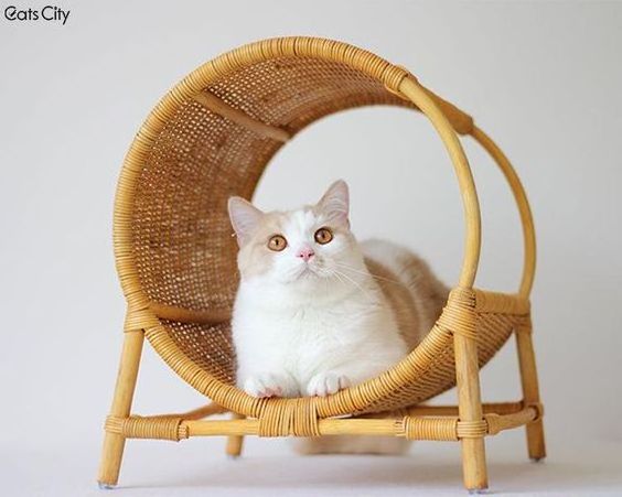 Cute pet bed 100% handmade wicker pet bed cat shaped cat bed supplier in Vietnam