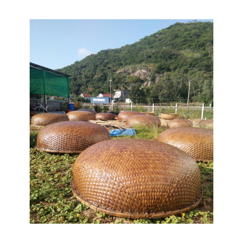 Bamboo Coracle Boat - Vietnamese Traditional Bamboo for Sale - Round Bamboo Fishing Boat from Vietnam