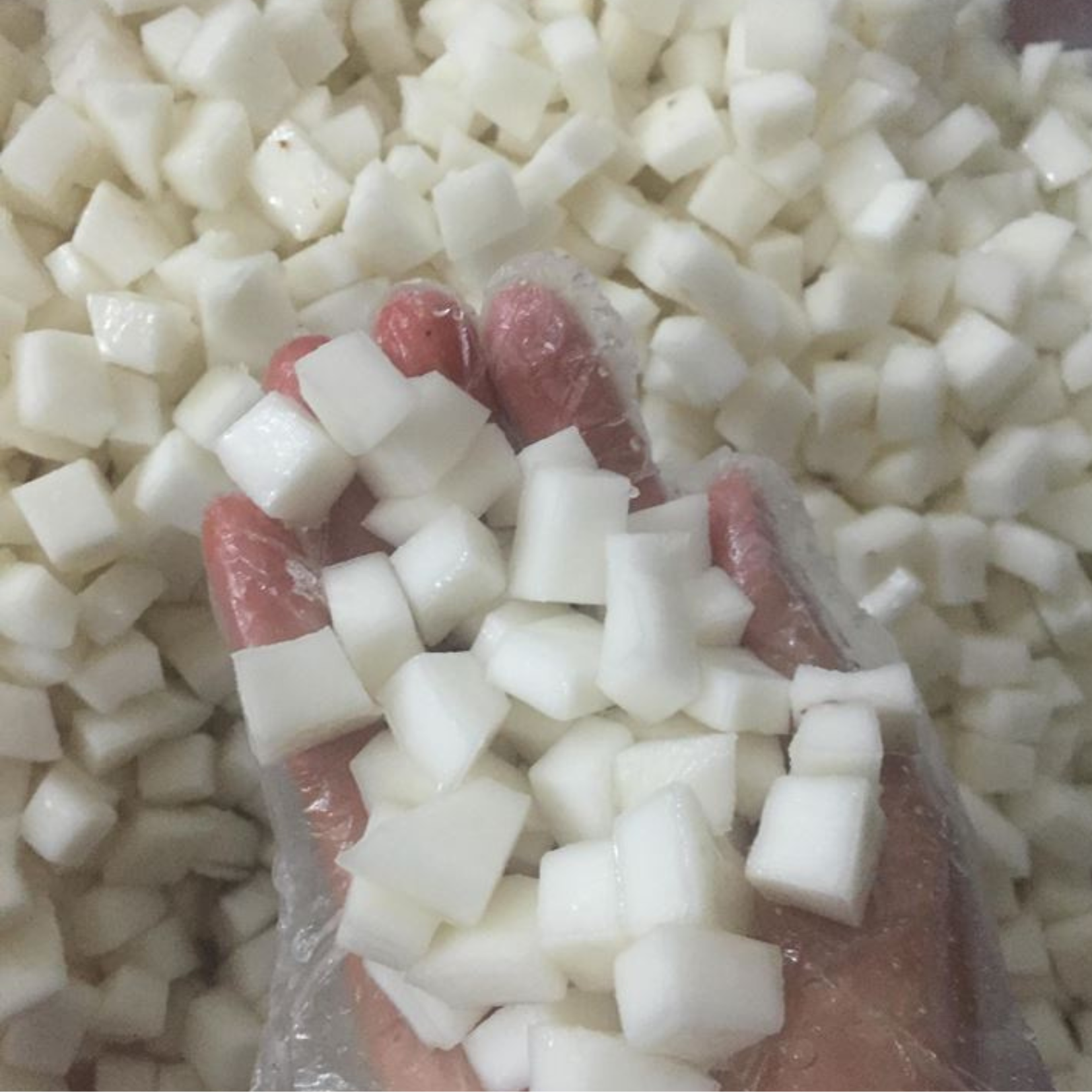 Hot Sale From Vietnam FROZEN SHREDDED COCONUT Good Quality For Sale IQF Coconut Meat Factory Price