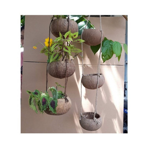 Wholesale Coconut Planters Coconut Shell Plant Hanger From Viet Nam Coconut Shell Pots