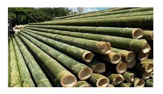 High Quality And Affordable Bamboo Split Incense Stick/ Split Bamboo Fence & Screening & Curtain & Used As A Kite