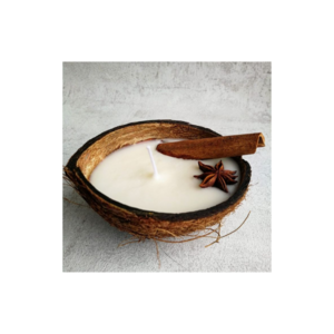 Top 2024 candle product Eco Friendly Clean Burning Soy Coconut Candle Handmade In Real Coconut Shell Bowl