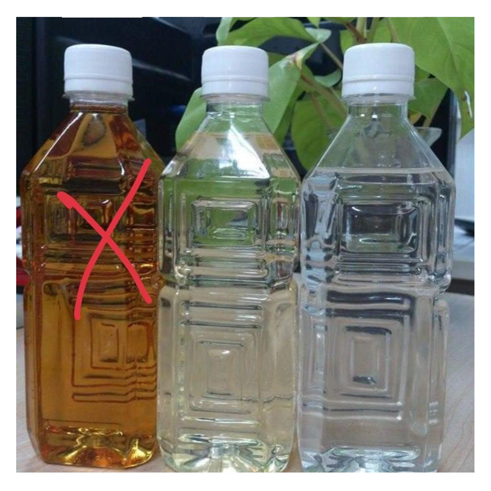 Crude Coconut Oil Coconut Cold Pressed/Virgin Coconut Oil Vietnam/RBD Coconut Oil Fast Delivery Best Price Vietnam Top Supplier