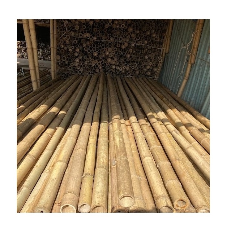 Eco-Friendly Raw Materials Bamboo Cane Bamboo Pole For Plant Made In Vietnam 99GD/ Bamboo Sticks Top Supplier 20 Year Experience