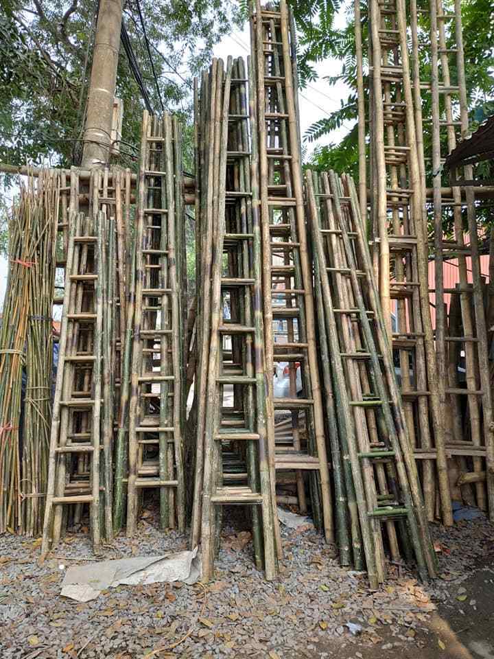 Wholesales Bamboo Ladder Vietnam 2021