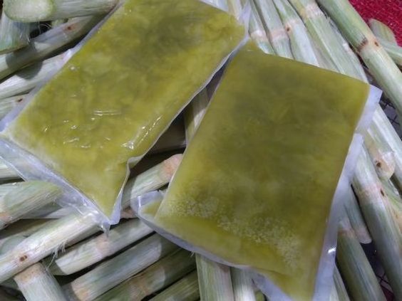 Best Seller Frozen SUGARCANE SUGAR CANE HOT TOP SALES WITH HIGH QUALITY