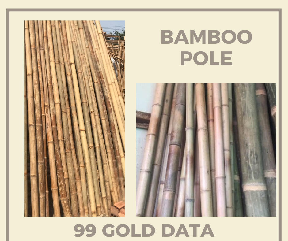 Wholesale Eco Friendly Round Handle Bamboo Stick Bamboo Strip For Bamboo Toothbrush Made in Vietnam 99 Gold Data