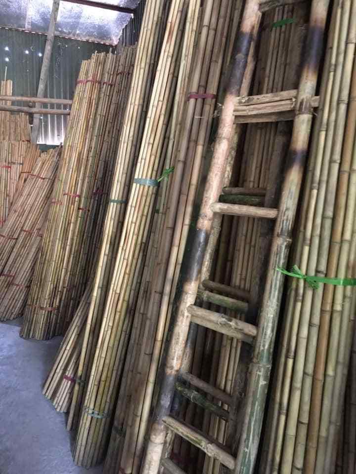 Wholesales Bamboo Ladder Vietnam 2021