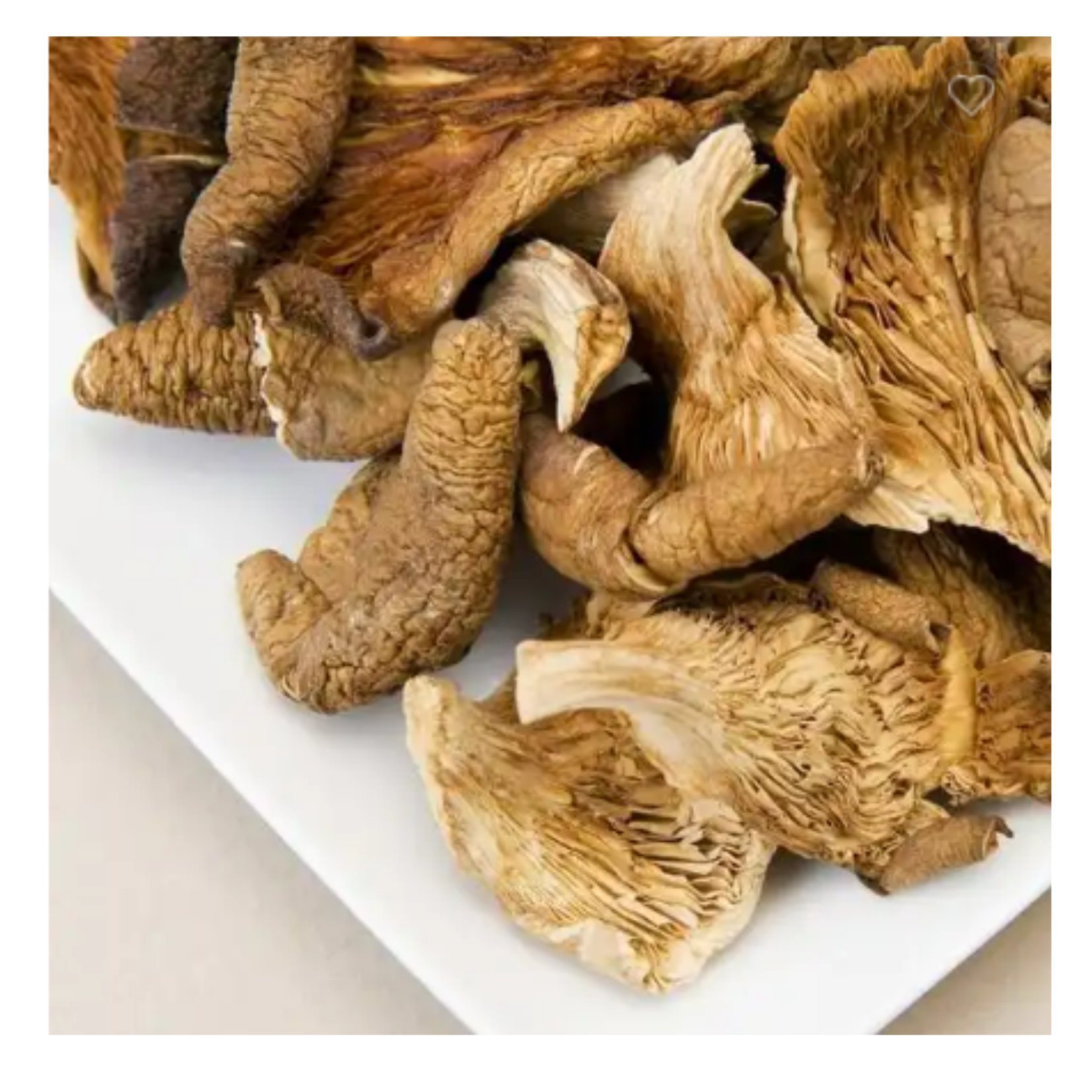 Mushroom Mycelium Seeds 100% Organic Mushroom Spawn Bag Cultivating Vietnamese Supplier Shiitake Mushrooms