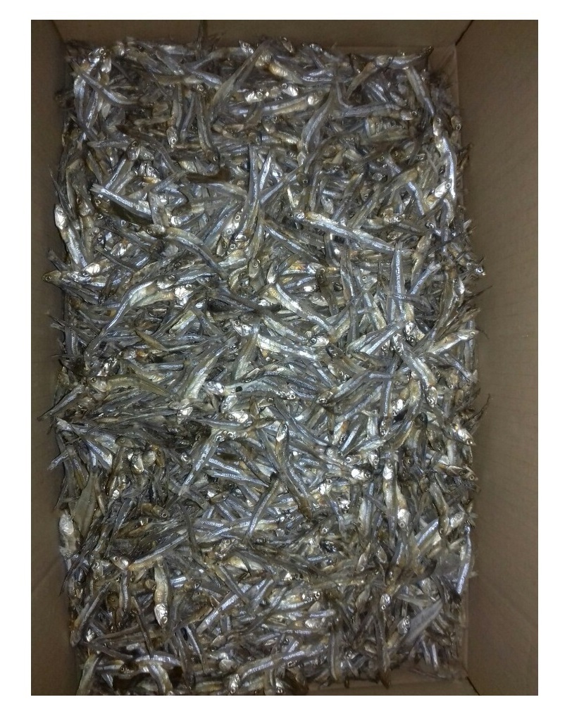 DRIED ANCHOVY FISH High QUALITY. Factory Professional Production Bulk Dried Anchovy, Dried Salted Anchovy From VietNam