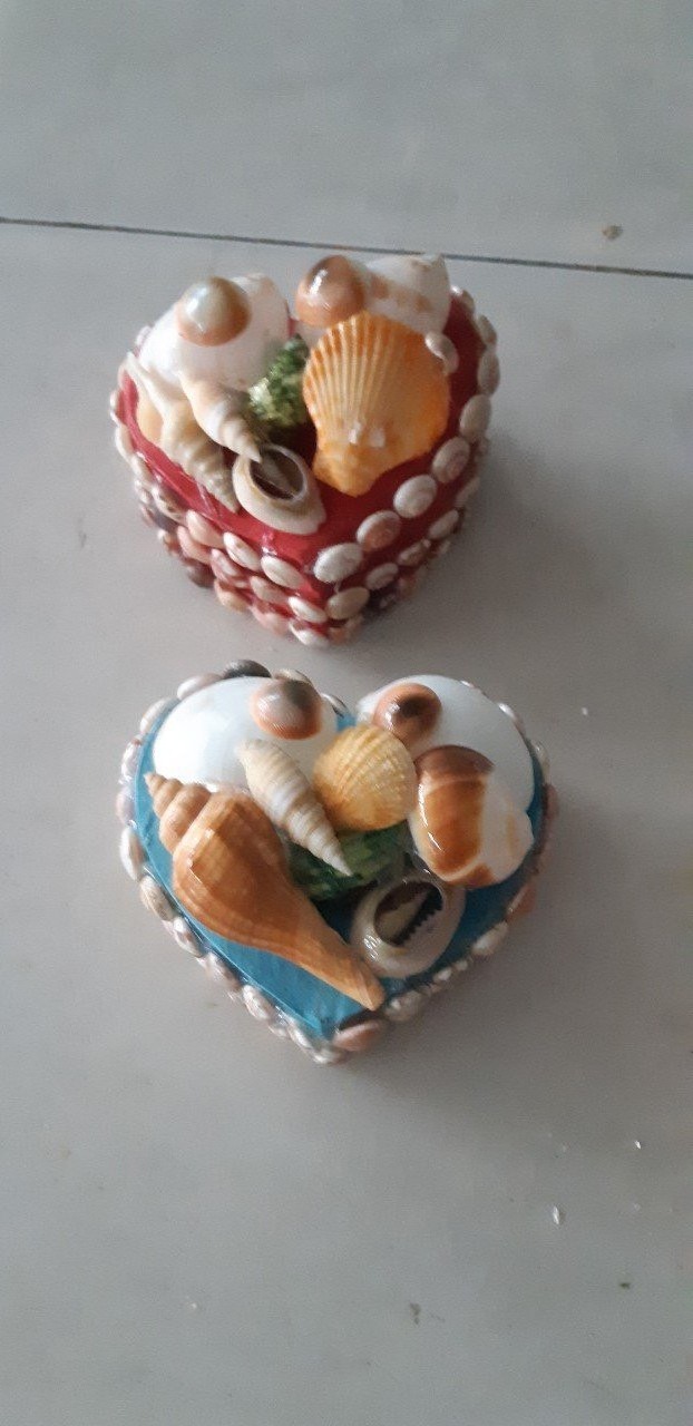 Seashell Ocean Free Form Nautilus Shell Nautical Organic Material 100% handmade seashell for souvenir from Vietnam