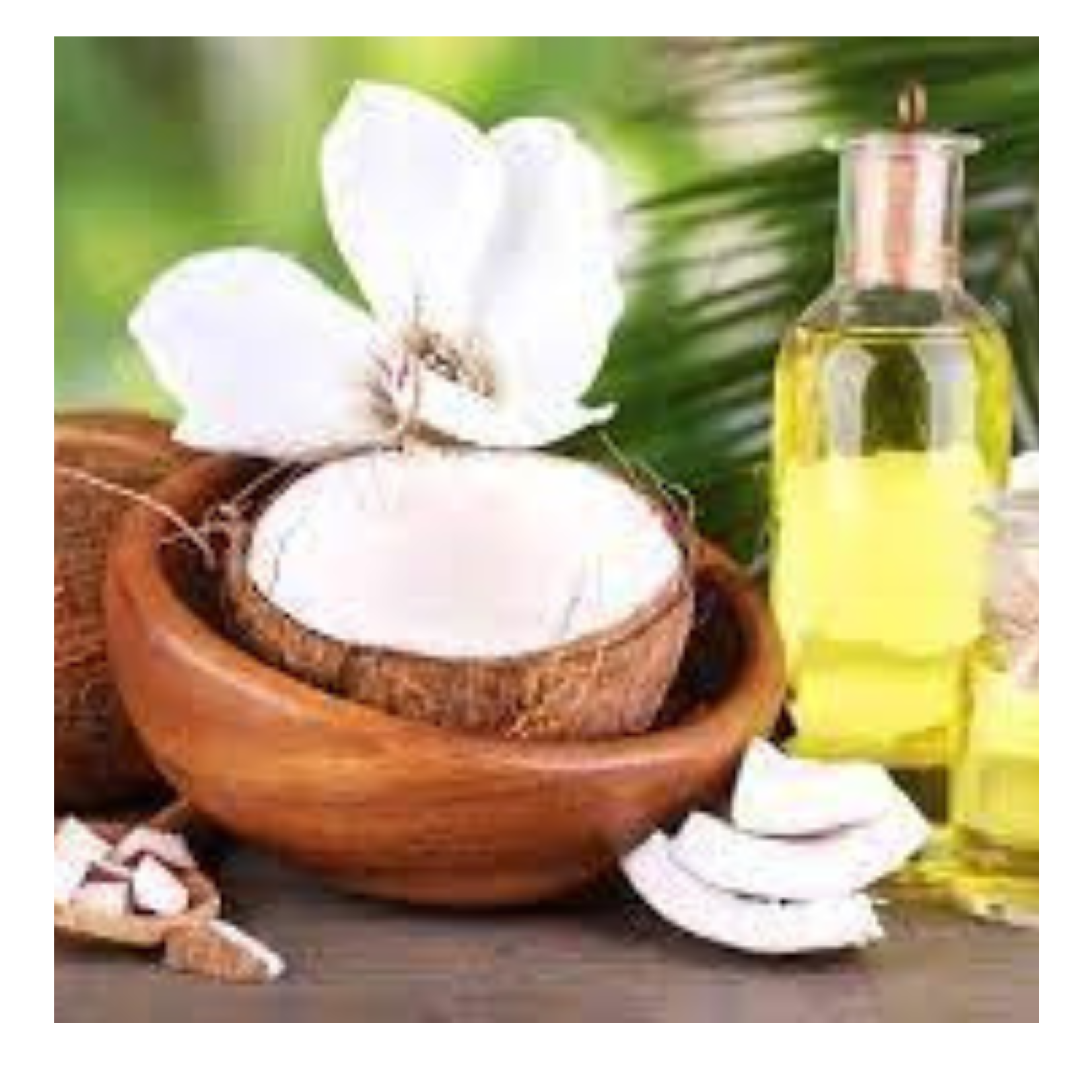 2024 Best Price RBD COCONUT OIL/ BEST REFINED COCONUT OIL/ PLANT OIL WITH HIGH QUALITY COMPETITIVE PRICE