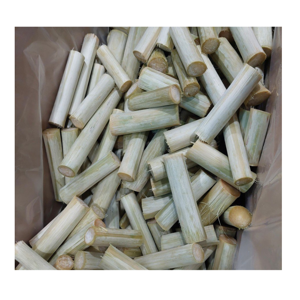 FRESH SUGAR CANE / FROZEN SUGAR CANE / SUGAR CANE From 99 Gold Data in Vietnam