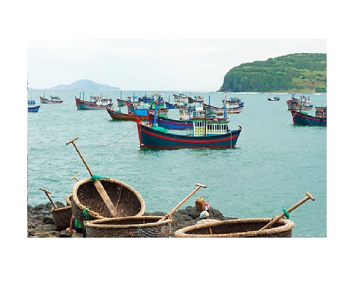 Very Cheap Price Round Bamboo Coracle Basket Boat With Paddles from Vietnam