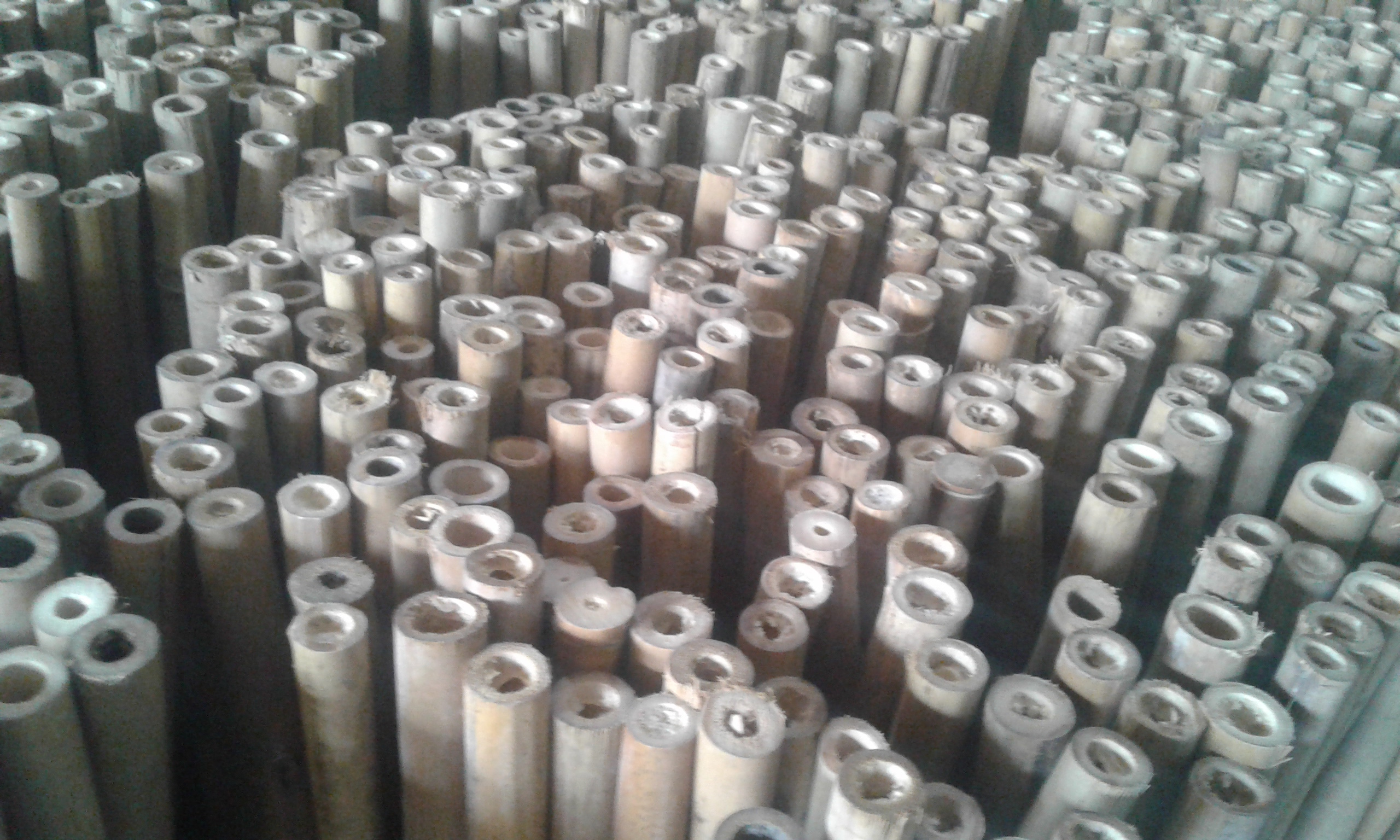 Nature  Bamboo Poles From Manufactory Vietnam With Competitive Price For Export - Bamboo Poles Products High Quality