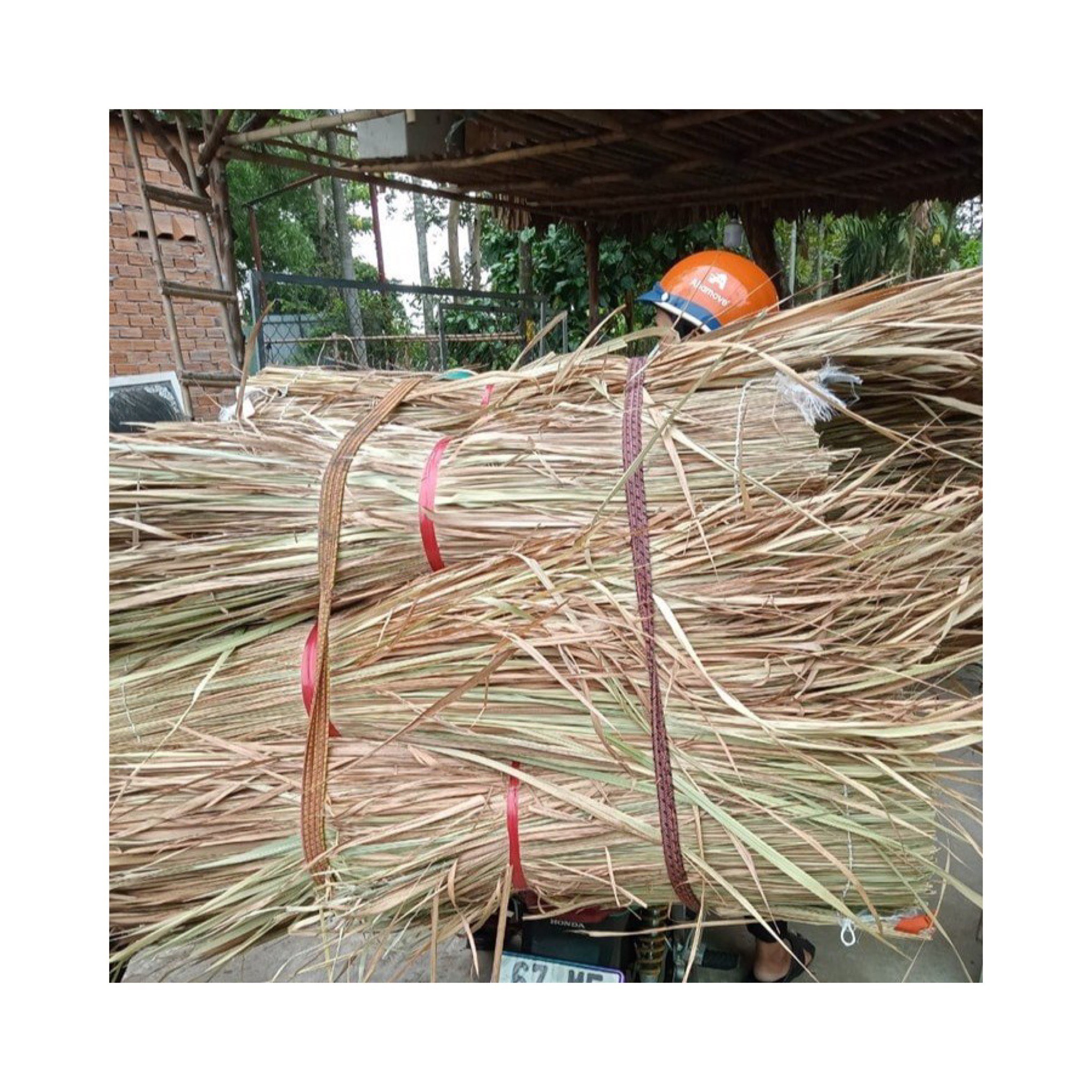 TROPICAL STYLE TYPE OF ROOFING - DRIED GRASS THATCH TOP COVERING FROM VIETNAM ELYSIA 0084789310321