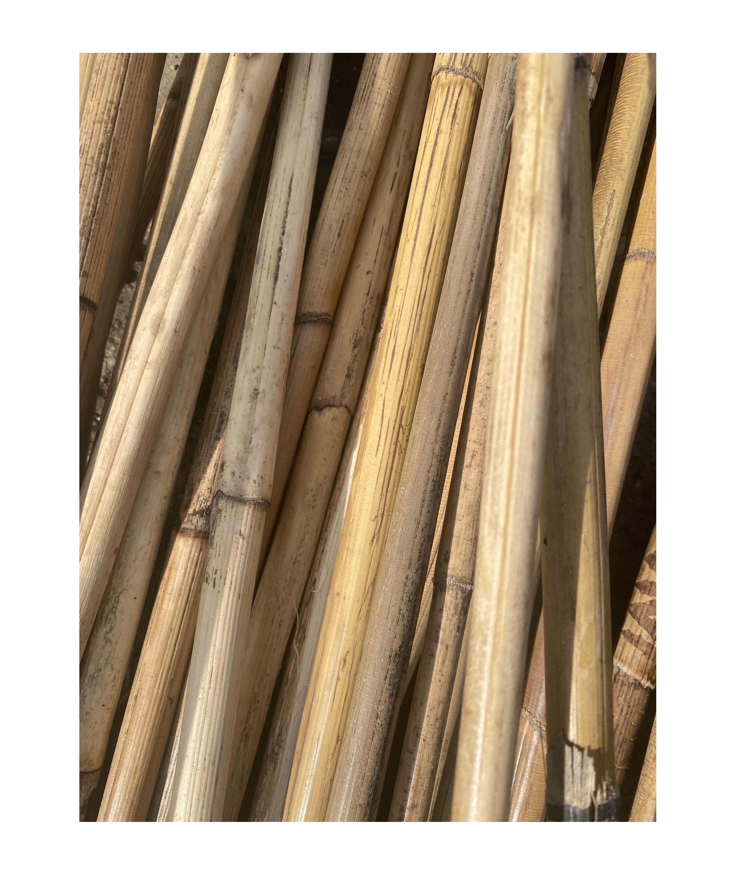 Natural rattan poles straight rattan manau cane for making furniture and painter best price for wholesale