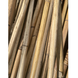 Natural rattan poles straight rattan manau cane for making furniture and painter best price for wholesale