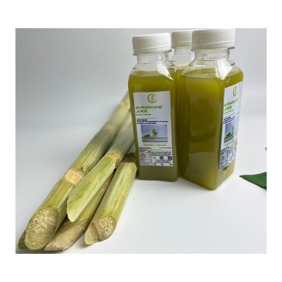 FRESH SUGAR CANE / FROZEN SUGAR CANE / SUGAR CANE From 99 Gold Data in Vietnam