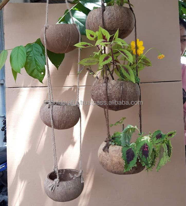 Wholesale Coconut Planters Coconut Shell Plant Hanger From Viet Nam Coconut Shell Pots