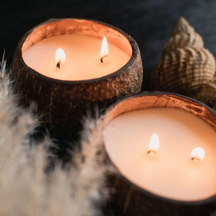 Top 2024 candle product Eco Friendly Clean Burning Soy Coconut Candle Handmade In Real Coconut Shell Bowl