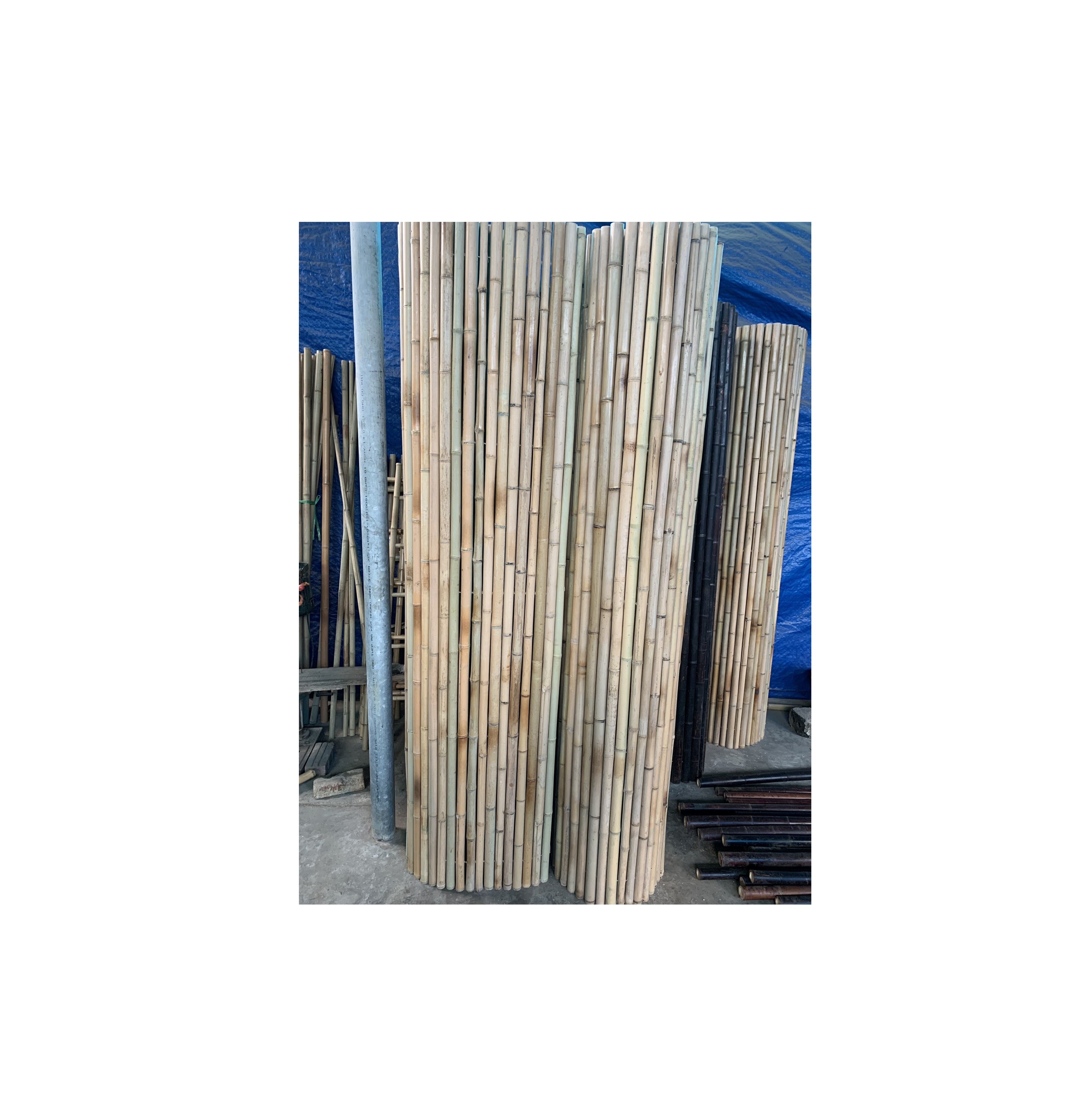 High quality Natural Rolled Bamboo Fence 8ft X 8ft for bamboo garden buildings custom ( whatsapp 0084587176063 Sandy) 99 Gol