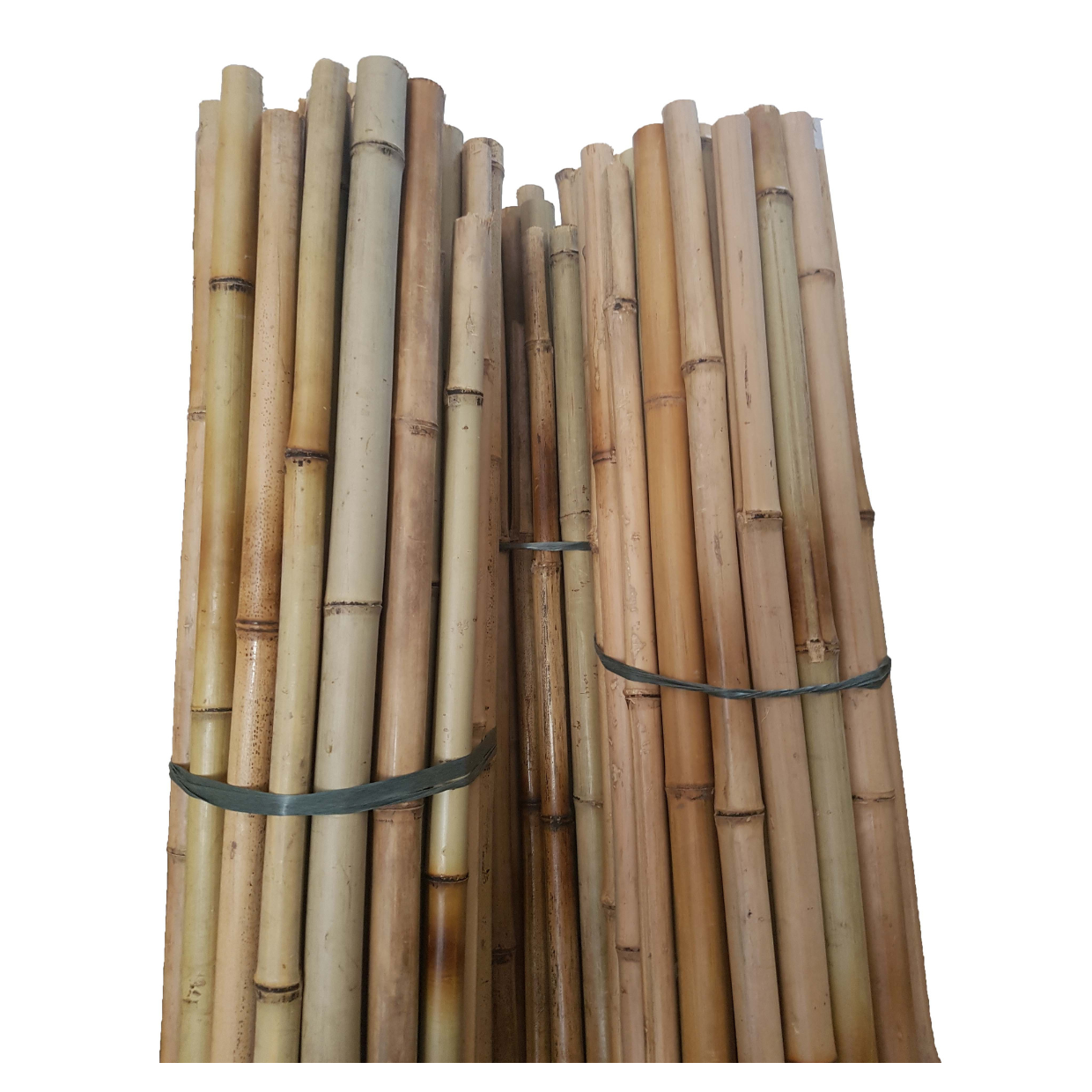 Eco-Friendly Raw Materials Wholesale Vietnam Bamboo Poles 100% Natural Bamboo pole/cane/stick/stake 2024 Bamboo Fence