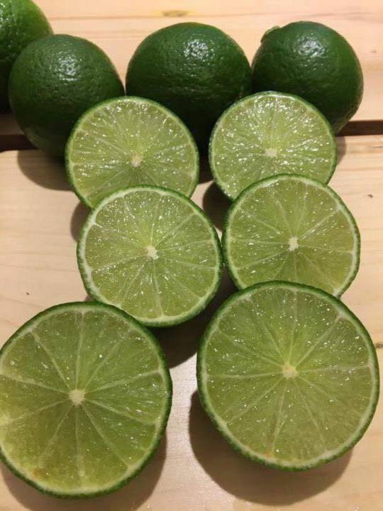 Vietnam Fresh Fruit/ Citrus Fruits for exporting  Green Seedless lime WA 84327076054