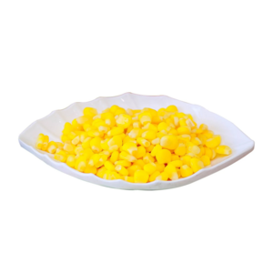 Yellow Corn Cob in Vacuum Packed Maize / Dried Sweet Fresh Corn Ready To Eat / Frozen Corn in bulk