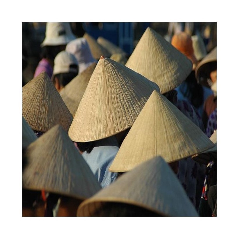 The Bamboo Palm Leaf Conical Hat Wholesale High Quality From 99 Gold Data