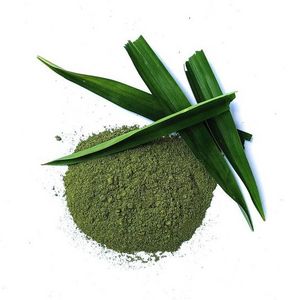 Factory Supply Pure Organic High Quality Pandan Leaf Powder Pandan Extract Powder Best price for Export