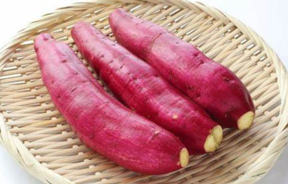 Premium Grade Frozen sweet potatoes hot sale from Viet Nam in bulk with affordable Price WA 84327076054